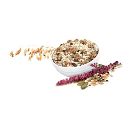 muesli aux graines