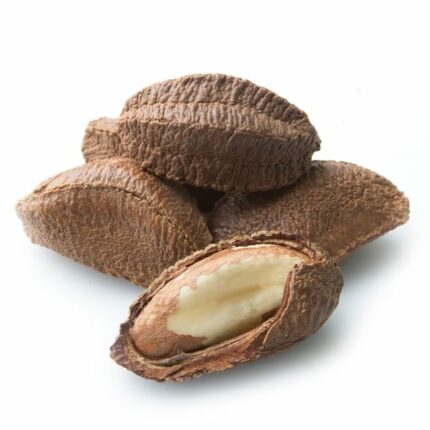 Noix de Brésil en Coques
