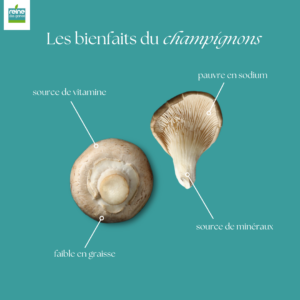 champignons grillés 