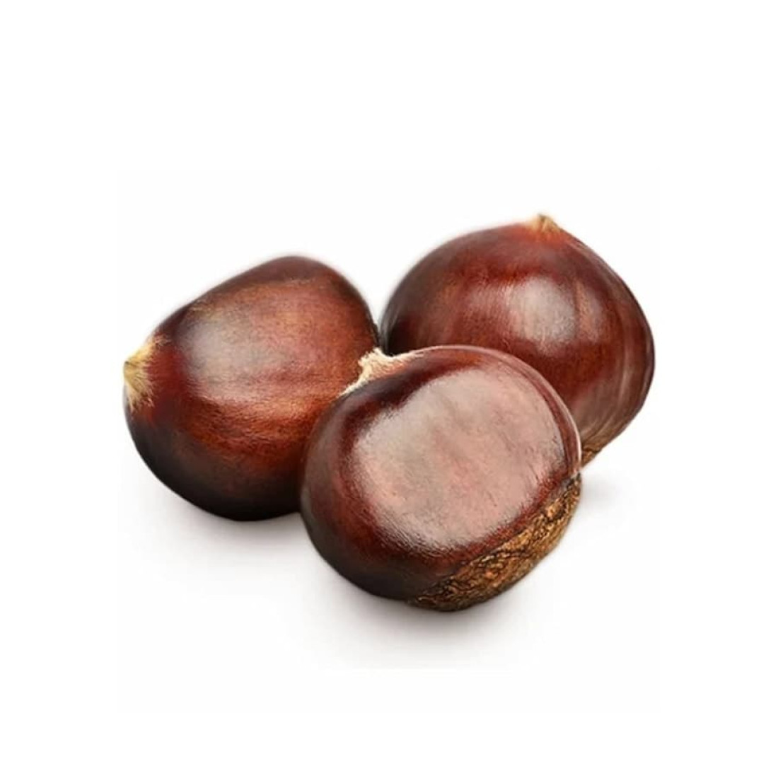 chestnut1 Châtaigne en coques – Image 1